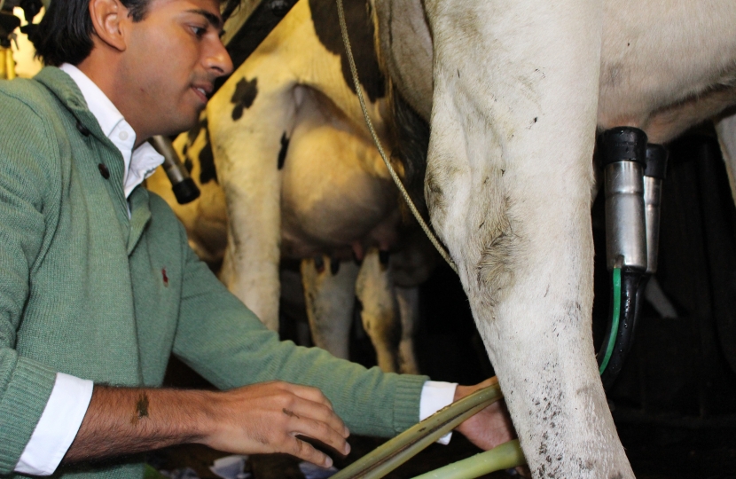 Rishi helps with the milking at Matthew Bell's Semmerdale Hall farm
