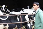 Rishi Sunak at Wensleydale dairy farm