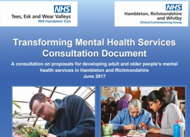 Mental health consultation document