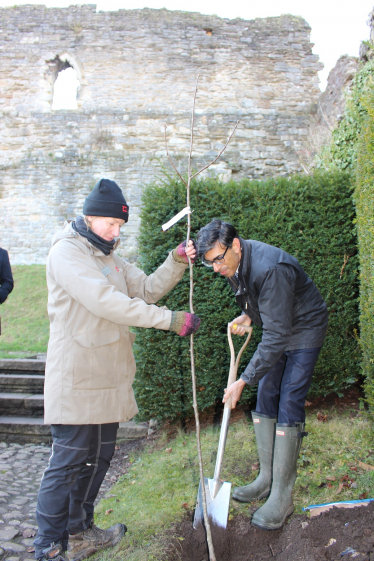 Rishi Sunak at Richmond Castle planting a tree for the Queen's Green Canopy